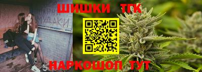 jwh Бийск