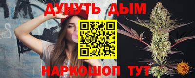 jwh Бийск
