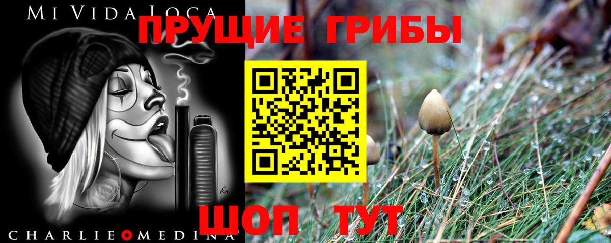 Галлюциногенные грибы Magic Shrooms  Галлюциногенные грибы Cubensis  Кандалакша  Вход с VPN 